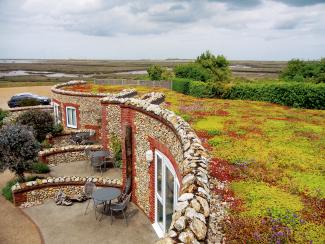 Extensive green roof